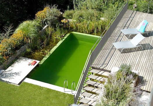 Außenanlage mit Schwimmteich